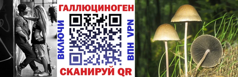 Галлюциногенные грибы мухоморы  Купить где  Карабаново 